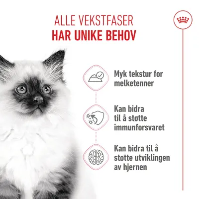 Royal Canin Kitten i gelé