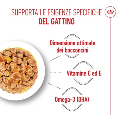 Royal Canin Kitten umido in Gelatina per gatti
