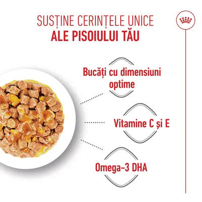 Bol de hrană cu bucăți de carne, alături de indicații: bucăți cu dimensiune optimă, vitamina C și E, Omega-3 DHA. Bol de hrană cu bucăți de carne, alături de indicații: bucăți cu dimensiune optimă, vitamina C și E, Omega-3 DHA.