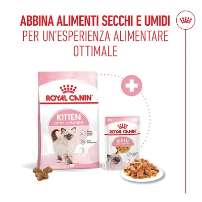 Royal Canin Kitten umido in Gelatina per gatti