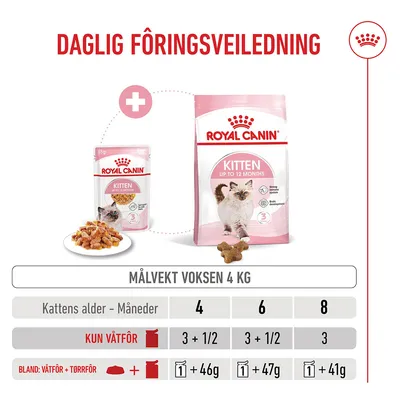 Royal Canin Kitten i gelé