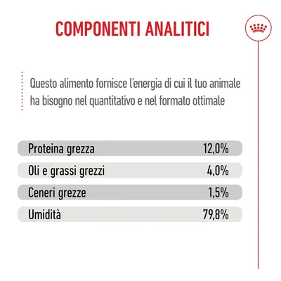 Royal Canin Kitten umido in Gelatina per gatti