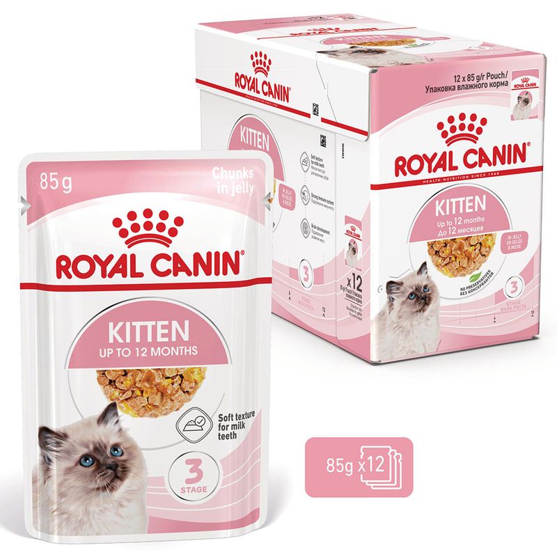 Royal Canin Kitten v želé