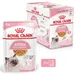 Royal Canin Kitten v želé