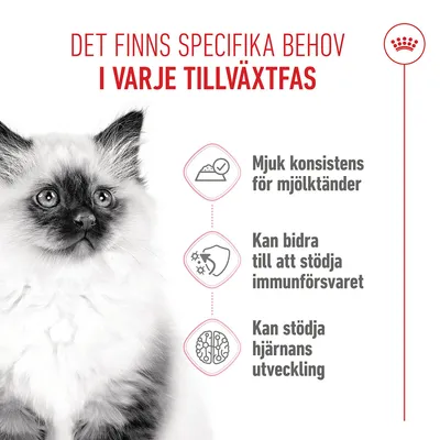 Royal Canin Kitten Mousse