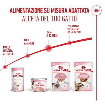 Royal Canin Kitten umido in Mousse per gatti