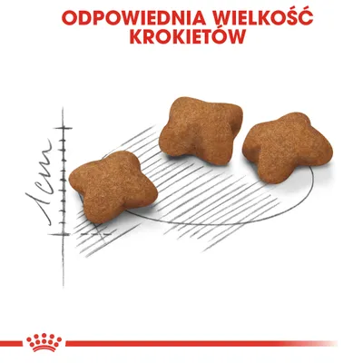 Royal Canin Kitten Sterilised