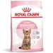 Royal Canin Kitten Sterilised