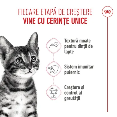 Grafic cu trei puncte: textură moale pentru dinții de lapte, sistem imunitar puternic, creștere și controlul greutății. Text în limba română, imagine cu o pisică.
