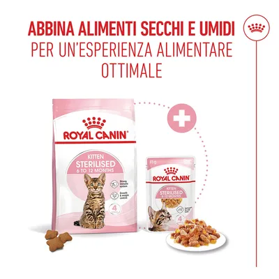 Royal Canin Kitten Sterilised in Gelatina