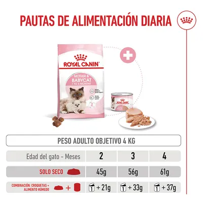 Royal Canin Mother & Babycat Royal Canin Mother & Babycat