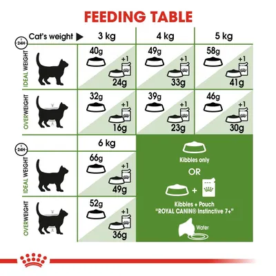 Feeding table showing daily kibble and pouch amounts for cats by weight and body condition. Includes options for kibbles only or kibbles plus Royal Canin Instinctive 7+ pouch and water.
