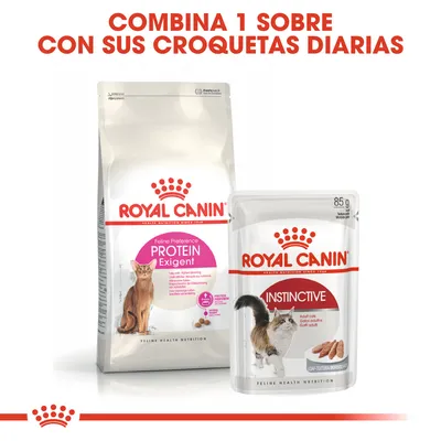 Royal Canin Feline Preference Protein Exigent pienso para gatos y Royal Canin Instinctive sobre 85 g. Texto: Combina 1 sobre con sus croquetas diarias.
