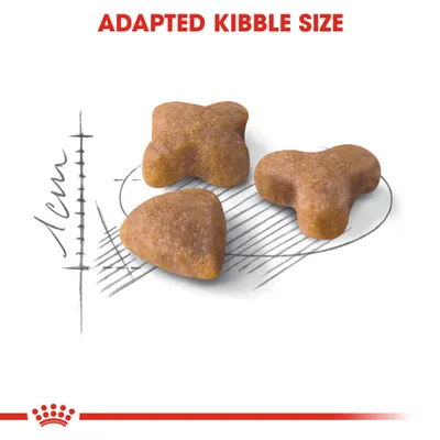 Kolme erimuotoista nappulaa, taustalla mittakaava 1 cm. Ylhäällä teksti: ADAPTED KIBBLE SIZE.