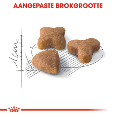 AANGEPASTE BROKGROOTTE, drie brokjes in verschillende vormen naast een schaalverdeling met aanduiding 1 cm, toont de grootte en vorm van het voer.