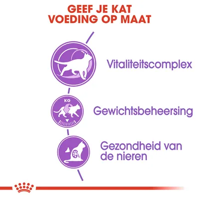 Geef je kat voeding op maat: vitaliteitscomplex, gewichtsbeheersing, gezondheid van de nieren. Drie paarse iconen met bijbehorende tekst voor kattenvoeding.