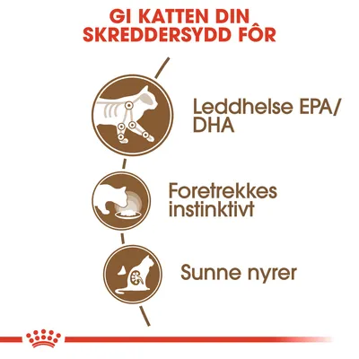 Royal Canin Ageing 12+ i saus