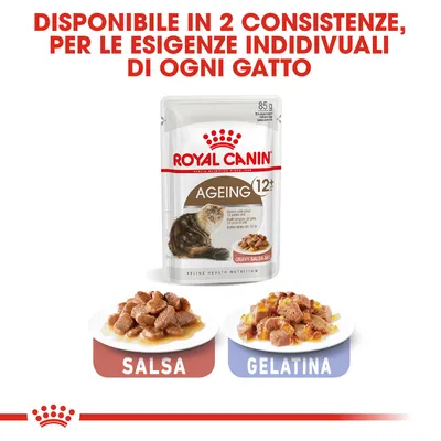 Royal Canin Ageing 12+ 85 g, disponibile in salsa o gelatina. Testo: Disponibile in 2 consistenze, per le esigenze individuali di ogni gatto. Immagine delle due varianti.
