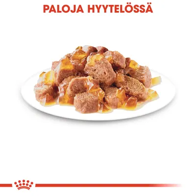 Paloja hyytelössä -teksti, lautasella lihapaloja hyytelössä.