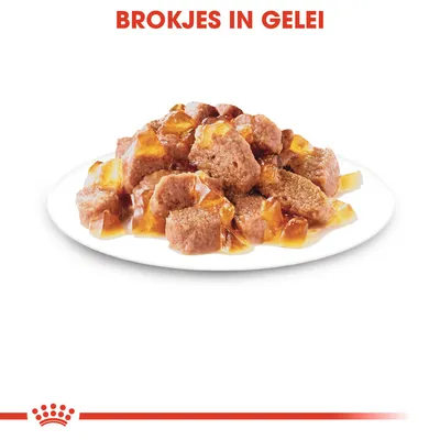 Brokjes in gelei op een wit bord, tekst bovenaan: BROKJES IN GELEI