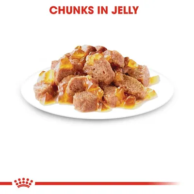 Tallerken med kødstykker i gelé. Tekst øverst: CHUNKS IN JELLY.