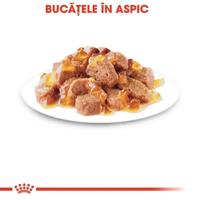 Bucăți de hrană umedă în aspic pe farfurie, text vizibil: „BUCĂȚELE ÎN ASPIC”