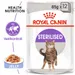 Royal Canin Sterilised i Gelé