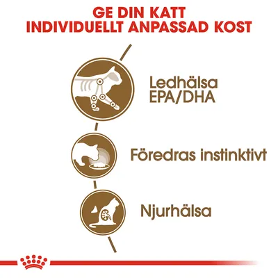 Ge din katt individuellt anpassad kost. Ledhälsa EPA/DHA, föredras instinktivt, njurhälsa. Illustrationer av katter med fokus på leder, ätande och njurar.