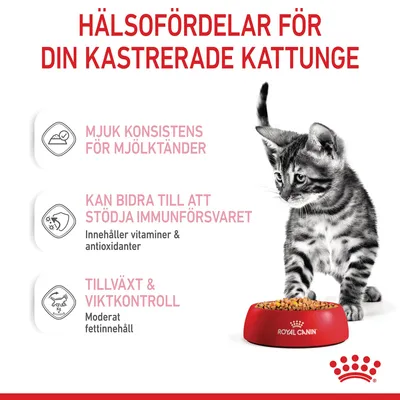 Hälsofördelar för kastrerad kattunge: mjuk konsistens för mjölktänder, kan bidra till immunförsvar (vitaminer & antioxidanter), tillväxt & viktkontroll (måttligt fettinnehåll). Royal Canin.