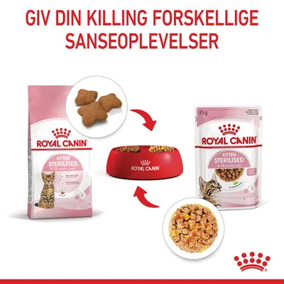 ROYAL CANIN Kitten Sterilised 6–12 months tør- og vådfoder, poser og skål med foder. Tekst: Giv din killing forskellige sanseoplevelser.