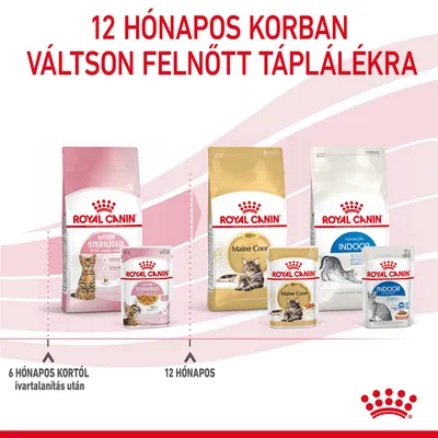 12 hónapos korban váltson felnőtt táplálékra. Royal Canin Kitten Sterilised, Maine Coon Adult, Indoor macskaeledelek csomagolásai. 6 hónapos kortól ivartalanítás után, 12 hónapos.