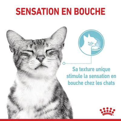 SENSATION EN BOUCHE. Sa texture unique stimule la sensation en bouche chez les chats. Texte en français belge, marque Royal Canin visible en bas à droite.