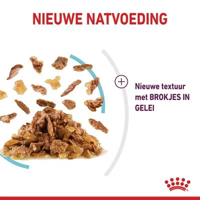 Nieuwe natvoeding, nieuwe textuur met brokjes in gelei. Afbeelding van natvoerbrokjes en gelei. Royal Canin merk zichtbaar rechtsonder.
