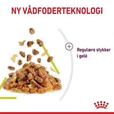 NY VÅDFODERTEKNOLOGI, regulære stykker i gelé. Billede af vådfoder med brune stykker og gelé. Royal Canin navn vises ikke, kun karakteristisk rød krone nederst.