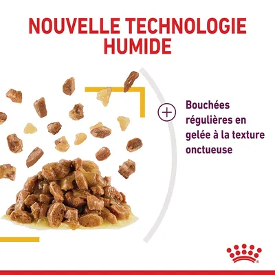 Nouvelle technologie humide. Bouchées régulières en gelée à la texture onctueuse, morceaux de nourriture présentés en tas et dispersés. Marque Royal Canin visible.