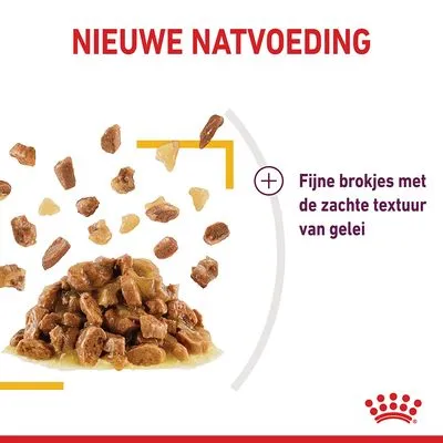 NIEUWE NATVOEDING. Fijne brokjes met de zachte textuur van gelei, afbeelding van natvoerbrokjes in gelei. Royal Canin merk zichtbaar.