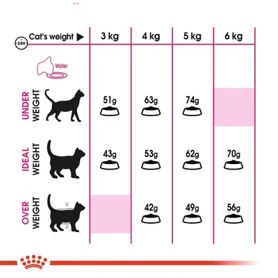 Fodringsvejledning til katte: undervægt 3–5 kg 51–74 g, idealvægt 3–6 kg 43–70 g, overvægt 4–6 kg 42–56 g. Vand anbefales. Tekst på engelsk.