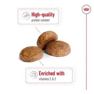 Kibble pieces shown with highlighted features: high-quality protein content and enriched with vitamins C and E.