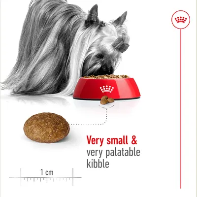 Image shows a pet eating from a bowl of very small, very palatable kibble. Close-up of one kibble piece with a 1 cm scale for size reference.