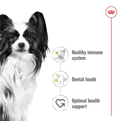 Κείμενο στα αγγλικά: Healthy immune system, Dental health, Optimal health support. Εικόνες με σκύλο, δόντι και καρδιά δίπλα από το κείμενο.