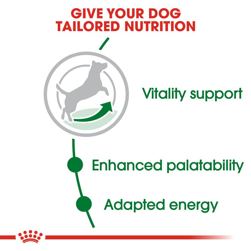 Текст на английском: GIVE YOUR DOG TAILORED NUTRITION, Vitality support, Enhanced palatability, Adapted energy. Силуэт собаки с зелёной стрелкой.