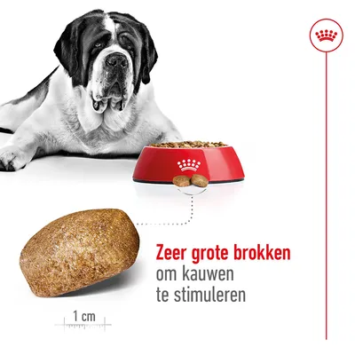 Zeer grote brokken, 1 cm, om kauwen te stimuleren. Rode voerbak met brokken en liggende hond zichtbaar. Tekst: 'Zeer grote brokken om kauwen te stimuleren'.