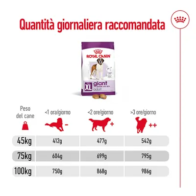 Tabella quantità giornaliera raccomandata Royal Canin Giant Adult XL: per 45 kg 412–542 g, 75 kg 604–795 g, 100 kg 750–986 g secondo attività fisica <1, <2 o >3 ore/giorno.