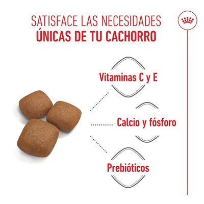 Royal Canin Giant Junior