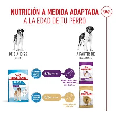 Royal Canin Giant Junior