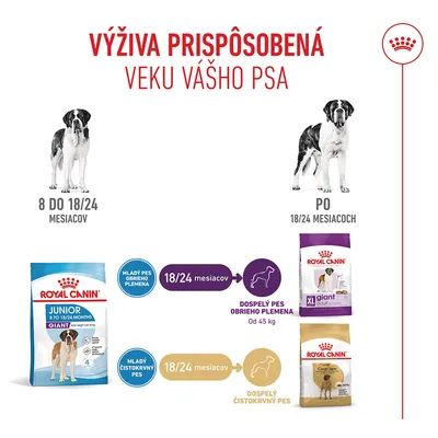 Royal Canin Giant Junior Royal Canin Giant Junior