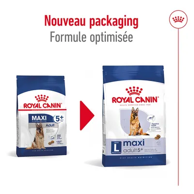 Nouveau packaging Royal Canin maxi adult 5+ pour grands chiens, formule optimisée. Ancien et nouveau sachet visibles avec chien illustré et croquettes sur l’emballage.