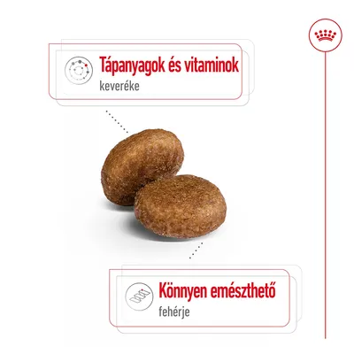 Két táp szemcséje, mellette felirat: Tápanyagok és vitaminok keveréke, Könnyen emészthető fehérje. Royal Canin márkajelzés látható.