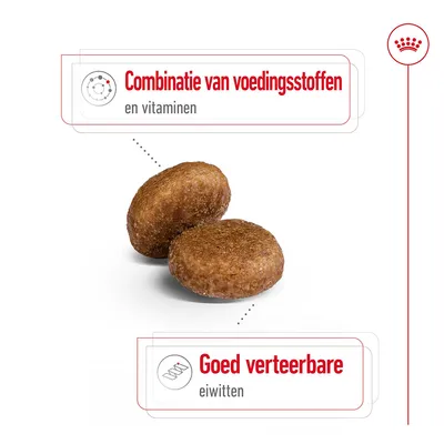 Twee brokjes met tekst: 'Combinatie van voedingsstoffen en vitaminen' en 'Goed verteerbare eiwitten'.