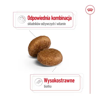 Odpowiednia kombinacja składników odżywczych i witamin. Wysokostrawne białka. Dwa okrągłe kawałki karmy.